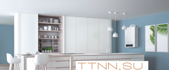 Настенный газовый котел Thermex Andromeda HM11