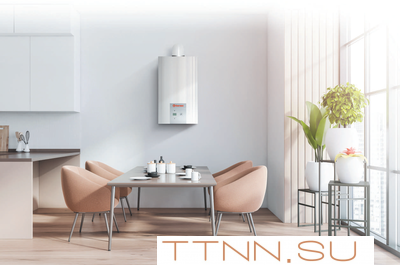 Настенный газовый котел Thermex EuroElite F36